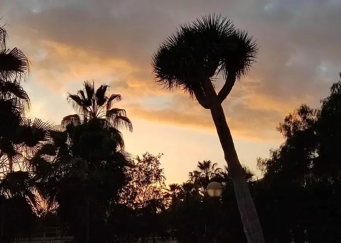 Lägenhet Paraiso Altemar, Duplex Americas *